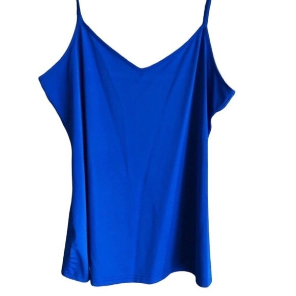 Daniel Rainn | Sheer Tunic with matching cami - Picture 3 of 9